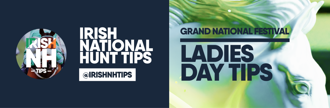 Grand National Ladies Day Irish NH Tips